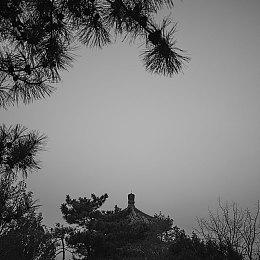 经典爱情冒险游戏《白色相簿：编缀的冬日回忆》中文版正式发售！